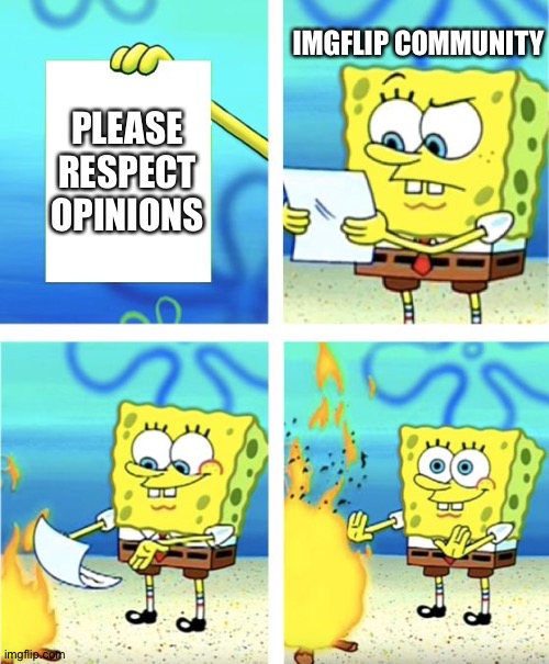 Why are they like this? | IMGFLIP COMMUNITY; PLEASE RESPECT OPINIONS | image tagged in spongebob burning paper | made w/ Imgflip meme maker