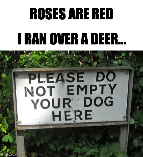 Darn, I really needed to empty him today. | ROSES ARE RED; I RAN OVER A DEER... | image tagged in blank white template,memes,unfunny | made w/ Imgflip meme maker