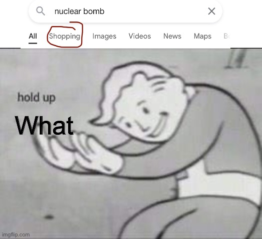 Wait what? | What | image tagged in fallout hold up,what | made w/ Imgflip meme maker