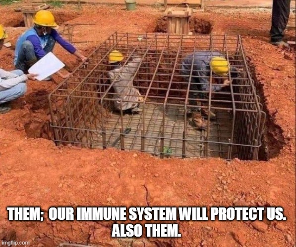 THEM;  OUR IMMUNE SYSTEM WILL PROTECT US. 
ALSO THEM. | image tagged in idiots | made w/ Imgflip meme maker