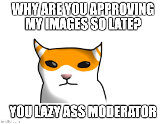 Blank White Template | WHY ARE YOU APPROVING MY IMAGES SO LATE? YOU LAZY ASS MODERATOR | image tagged in blank white template | made w/ Imgflip meme maker
