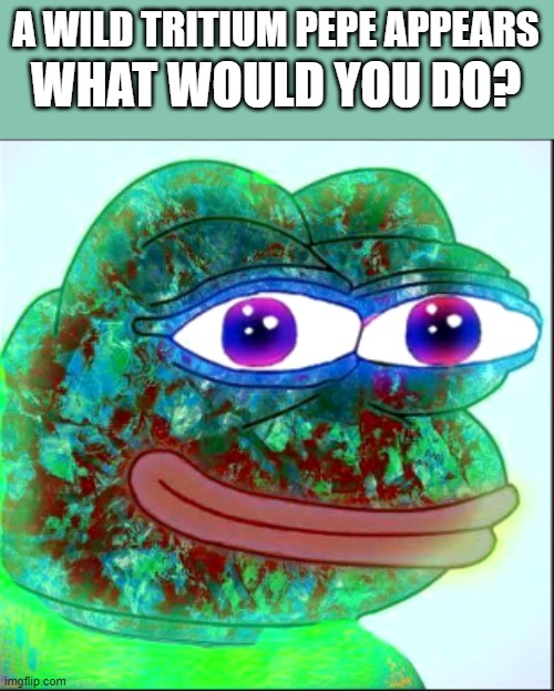 Ultimate rare meme | WHAT WOULD YOU DO? A WILD TRITIUM PEPE APPEARS | image tagged in tritium pepe | made w/ Imgflip meme maker