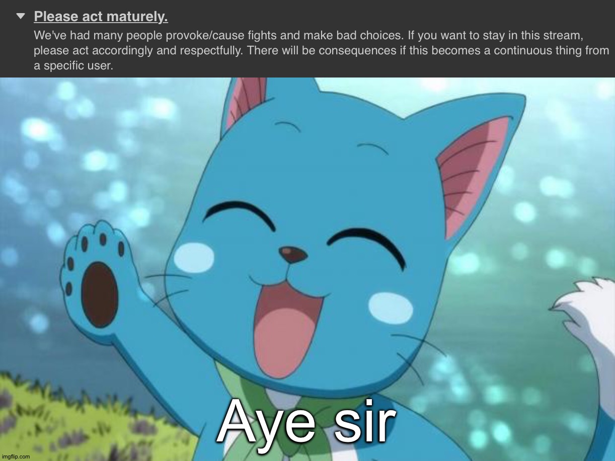 Right. Let's end this shit... Let's all apologies to each other and shit eachother's panties... | Aye sir | image tagged in happy fairy tail | made w/ Imgflip meme maker