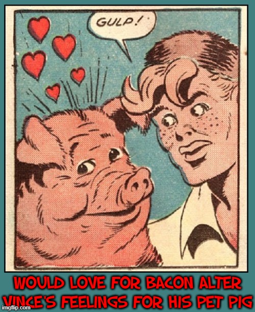 WOULD LOVE FOR BACON ALTER VINCE'S FEELINGS FOR HIS PET PIG | made w/ Imgflip meme maker