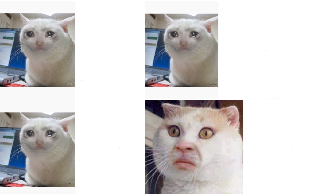 Sad Sad Sad WTF Cats Blank Meme Template