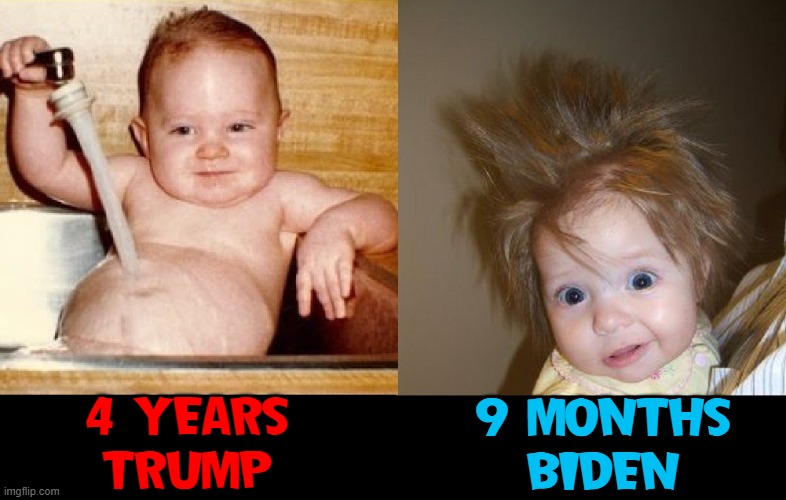 You had a simple choice. Did you choose wisely? | 9 MONTHS
BIDEN; 4 YEARS
TRUMP | image tagged in vince vance,bad hair,baby,joe biden,president trump,memes | made w/ Imgflip meme maker
