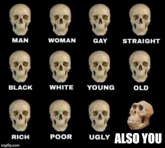 idiot skull | ALSO YOU | image tagged in idiot skull | made w/ Imgflip meme maker