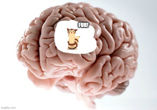 Blank Scumbag Brain | FUR! | image tagged in blank scumbag brain | made w/ Imgflip meme maker