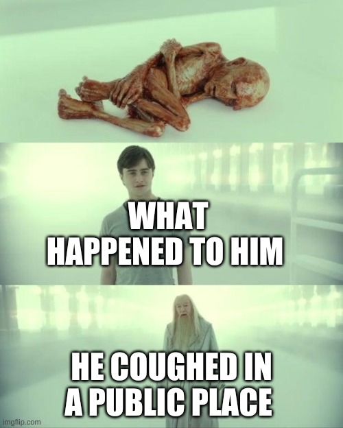 Dead Baby Voldemort / What Happened To Him | WHAT HAPPENED TO HIM; HE COUGHED IN A PUBLIC PLACE | image tagged in dead baby voldemort / what happened to him | made w/ Imgflip meme maker