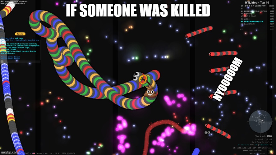 Slitherio in a nutshell | IF SOMEONE WAS KILLED; NYOOOOOM | image tagged in gaming,in a nutshell | made w/ Imgflip meme maker