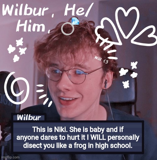 Wilbur | This is Niki. She is baby and if anyone dares to hurt it I WILL personally disect you like a frog in high school. | image tagged in wilbur | made w/ Imgflip meme maker