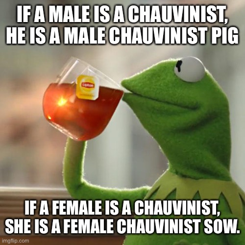 But That's None Of My Business Meme | IF A MALE IS A CHAUVINIST, HE IS A MALE CHAUVINIST PIG IF A FEMALE IS A CHAUVINIST, SHE IS A FEMALE CHAUVINIST SOW. | image tagged in memes,but that's none of my business,kermit the frog | made w/ Imgflip meme maker