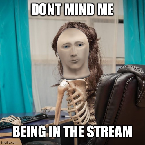 j | DONT MIND ME; BEING IN THE STREAM | made w/ Imgflip meme maker