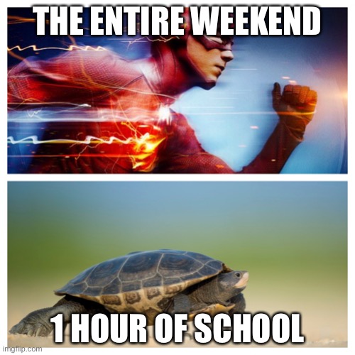 the weekend goes by way to fast | THE ENTIRE WEEKEND; 1 HOUR OF SCHOOL | image tagged in fast vs slow,memes,school,weekend,meme,sad | made w/ Imgflip meme maker