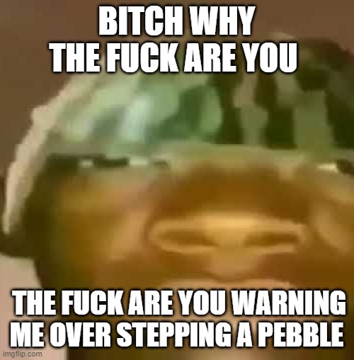 shitpost | BITCH WHY THE FUCK ARE YOU THE FUCK ARE YOU WARNING ME OVER STEPPING A PEBBLE | image tagged in shitpost | made w/ Imgflip meme maker