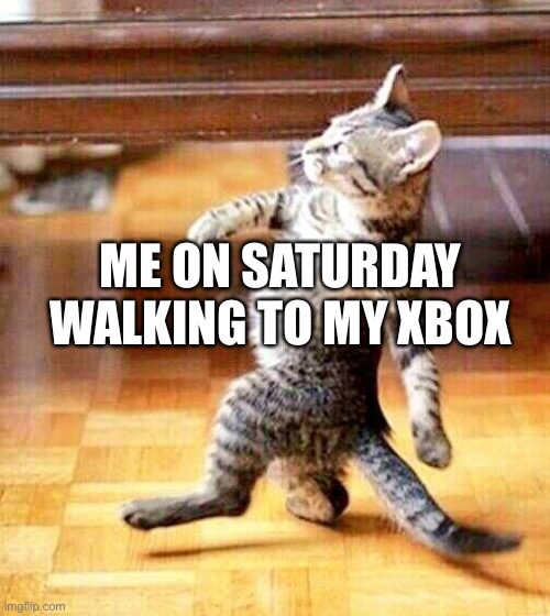 yep | ME ON SATURDAY WALKING TO MY XBOX | image tagged in cat walking away,memes,meme,xbox,saturday,weekend | made w/ Imgflip meme maker