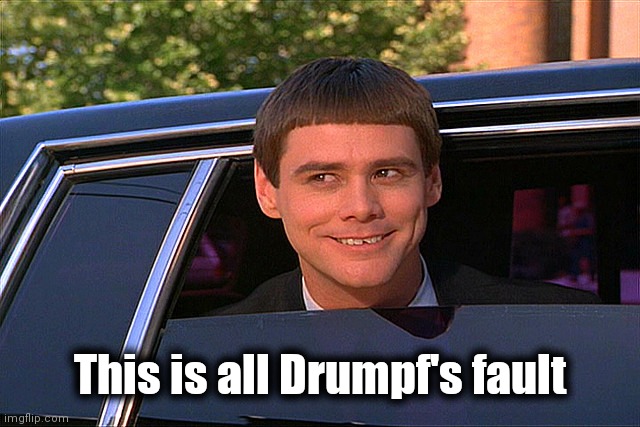 Lloyd Christmas Limo | This is all Drumpf's fault | image tagged in lloyd christmas limo | made w/ Imgflip meme maker