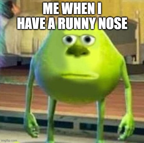 Mike wasowski sully face swap | ME WHEN I HAVE A RUNNY NOSE | image tagged in mike wasowski sully face swap,relatable | made w/ Imgflip meme maker