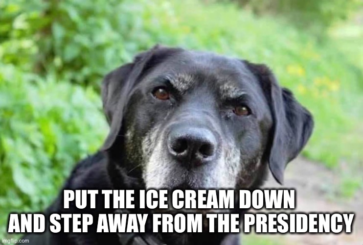 WTF is wrong with you | PUT THE ICE CREAM DOWN 
AND STEP AWAY FROM THE PRESIDENCY | image tagged in wtf is wrong with you | made w/ Imgflip meme maker