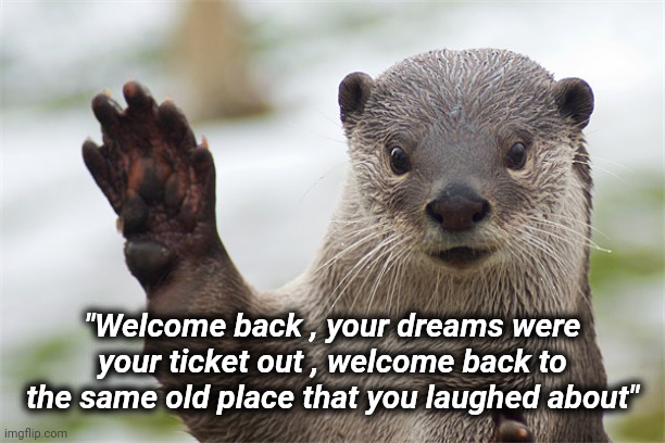 Welcome Back, Otter. | "Welcome back , your dreams were your ticket out , welcome back to the same old place that you laughed about" | image tagged in welcome back otter | made w/ Imgflip meme maker