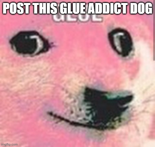 çöçk | POST THIS GLUE ADDICT DOG | image tagged in glue | made w/ Imgflip meme maker