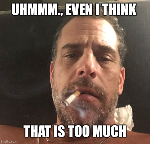 Hunter Biden | UHMMM., EVEN I THINK THAT IS TOO MUCH | image tagged in hunter biden | made w/ Imgflip meme maker