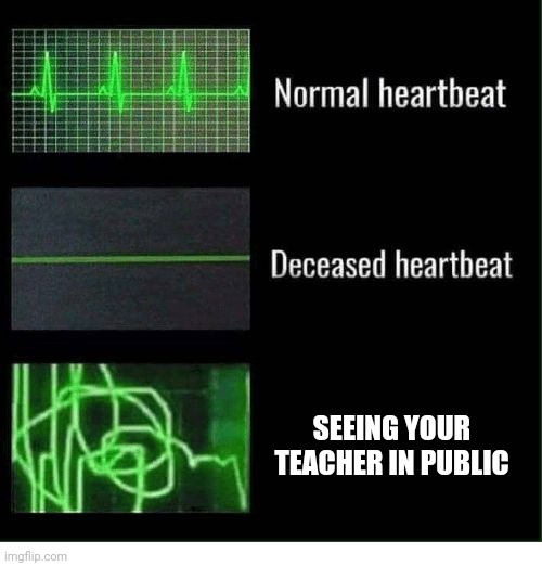 normal heartbeat deceased heartbeat | SEEING YOUR TEACHER IN PUBLIC | image tagged in school,normal heartbeat deceased heartbeat,teacher,funny memes,why do i do this | made w/ Imgflip meme maker