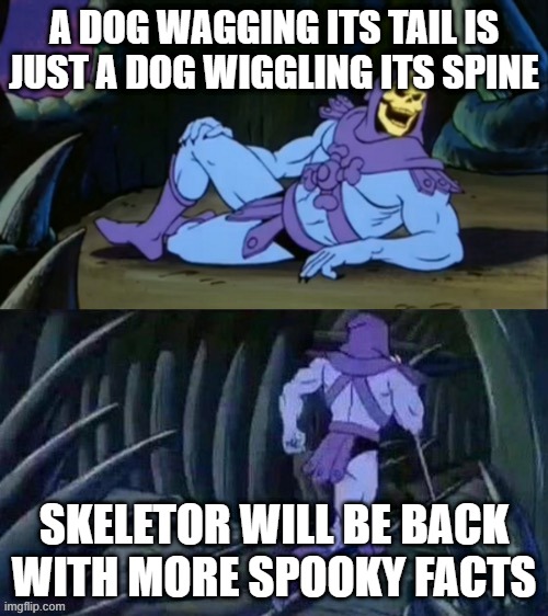 free epic fava beans | A DOG WAGGING ITS TAIL IS JUST A DOG WIGGLING ITS SPINE; SKELETOR WILL BE BACK WITH MORE SPOOKY FACTS | image tagged in skeletor disturbing facts | made w/ Imgflip meme maker