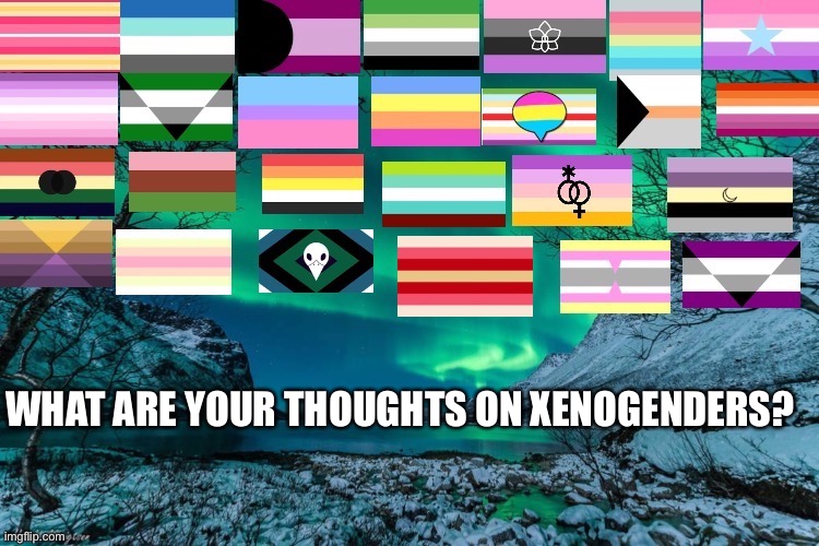 Northern Lights Announcement | WHAT ARE YOUR THOUGHTS ON XENOGENDERS? | image tagged in northern lights announcement | made w/ Imgflip meme maker