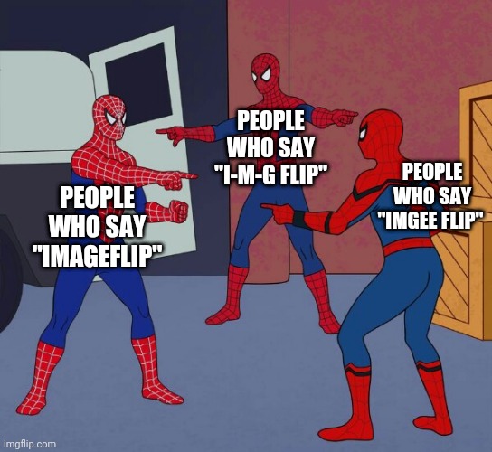 How do you say it? | PEOPLE WHO SAY "I-M-G FLIP"; PEOPLE WHO SAY "IMGEE FLIP"; PEOPLE WHO SAY "IMAGEFLIP" | image tagged in spider man triple | made w/ Imgflip meme maker