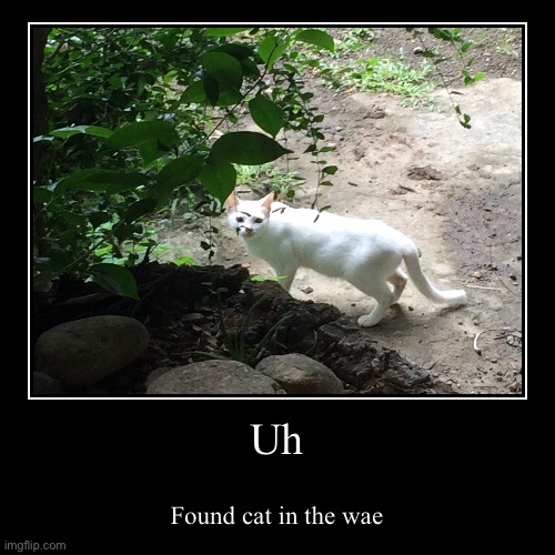 hmmm | made w/ Imgflip demotivational maker