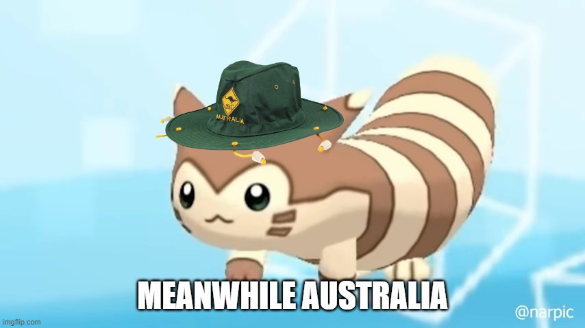 Furret Walcc | MEANWHILE AUSTRALIA | image tagged in furret walcc | made w/ Imgflip meme maker