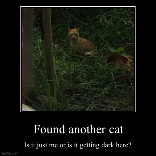 image tagged in funny,demotivationals | made w/ Imgflip demotivational maker