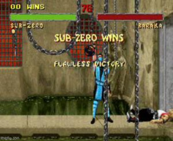 Sub Zero Flawless Victory Mortal Kombat | image tagged in sub zero flawless victory mortal kombat | made w/ Imgflip meme maker
