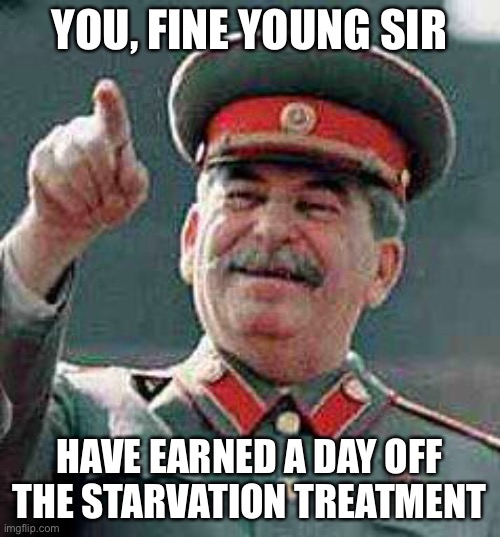 no context (i said this in a DM) | YOU, FINE YOUNG SIR; HAVE EARNED A DAY OFF THE STARVATION TREATMENT | image tagged in stalin says,funny,starvation,dark humor,oh no | made w/ Imgflip meme maker