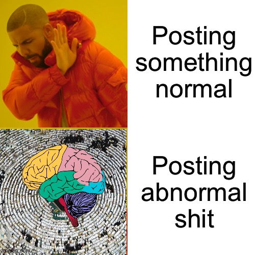 bruh momento 101 | Posting something normal; Posting abnormal shit | image tagged in when,the,imposter,is,an sussy,baka | made w/ Imgflip meme maker