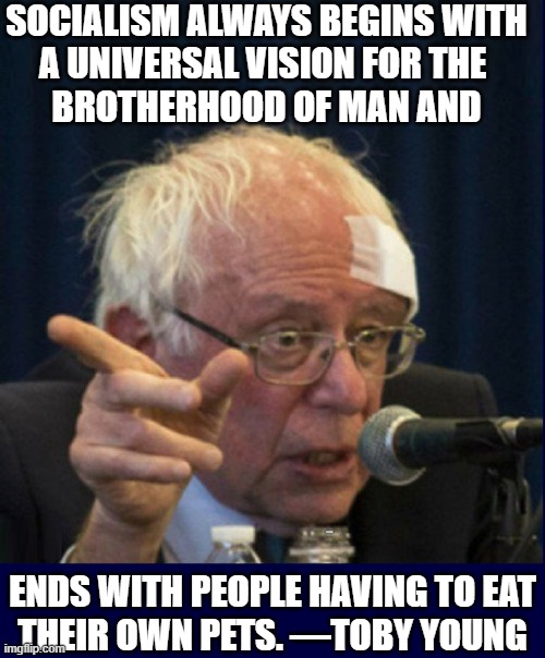 This commie's been pushing his agenda his 1988 Russian honeymoon |  SOCIALISM ALWAYS BEGINS WITH
A UNIVERSAL VISION FOR THE 
BROTHERHOOD OF MAN AND; ENDS WITH PEOPLE HAVING TO EAT
THEIR OWN PETS. —TOBY YOUNG | image tagged in vince vance,bernie sanders,toby,young,quotes,socialism | made w/ Imgflip meme maker