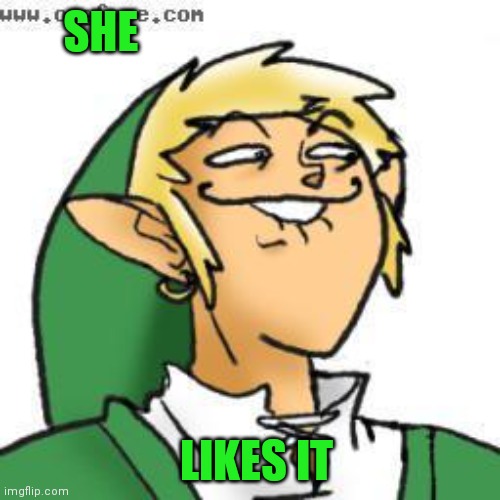 lol of zelda | SHE LIKES IT | image tagged in lol of zelda | made w/ Imgflip meme maker