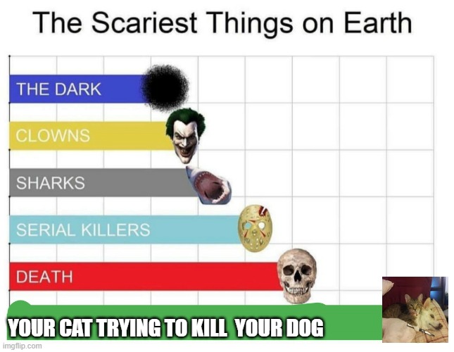 scariest things on earth | YOUR CAT TRYING TO KILL  YOUR DOG | image tagged in scariest things on earth | made w/ Imgflip meme maker