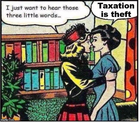 Taxation is theft | image tagged in political meme | made w/ Imgflip meme maker