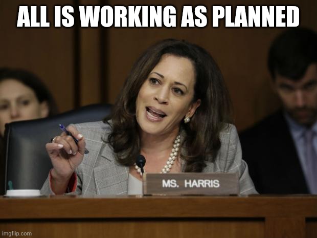 Kamala Harris | ALL IS WORKING AS PLANNED | image tagged in kamala harris | made w/ Imgflip meme maker