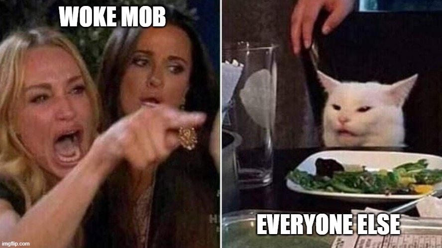 WOKE MOB; EVERYONE ELSE | image tagged in woke,offended,netflix,dave chappelle,political,angry sjw | made w/ Imgflip meme maker