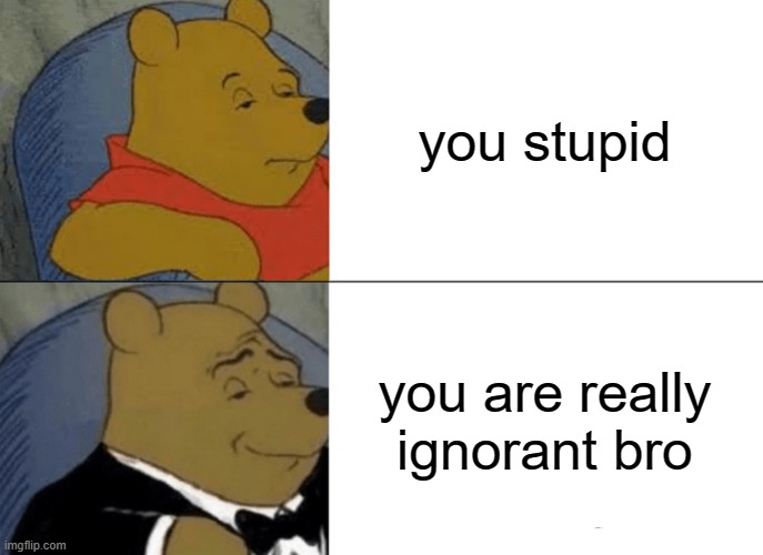 Tuxedo Winnie The Pooh | you stupid; you are really ignorant bro | image tagged in memes,tuxedo winnie the pooh | made w/ Imgflip meme maker