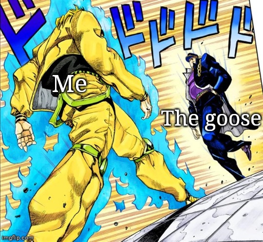 Jojo's Walk | Me The goose | image tagged in jojo's walk | made w/ Imgflip meme maker