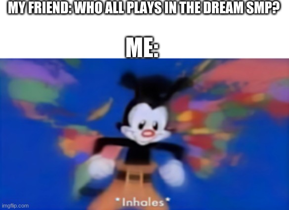DREAM SAPNAP FUNDY GEORGE TECHNOBLADE BADBOYHALO AWESAMEDUDE SKEPPY PHILZA WILBURSOOT | MY FRIEND: WHO ALL PLAYS IN THE DREAM SMP? ME: | image tagged in yakko inhale,not too good with the smp ppl,i got a few tho right | made w/ Imgflip meme maker