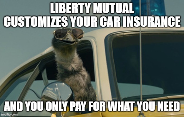 Limu Emu | LIBERTY MUTUAL CUSTOMIZES YOUR CAR INSURANCE; AND YOU ONLY PAY FOR WHAT YOU NEED | image tagged in limu emu | made w/ Imgflip meme maker