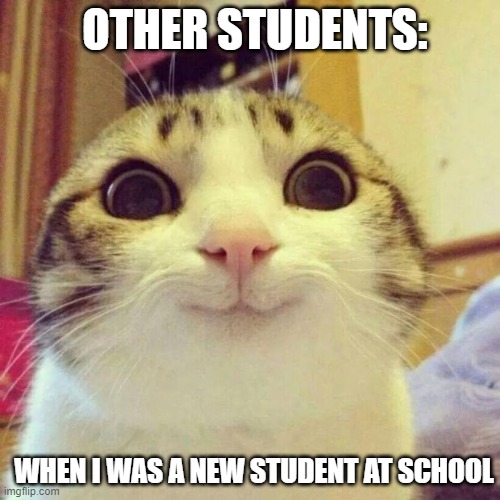 Smiling Cat | OTHER STUDENTS:; WHEN I WAS A NEW STUDENT AT SCHOOL | image tagged in memes,smiling cat | made w/ Imgflip meme maker
