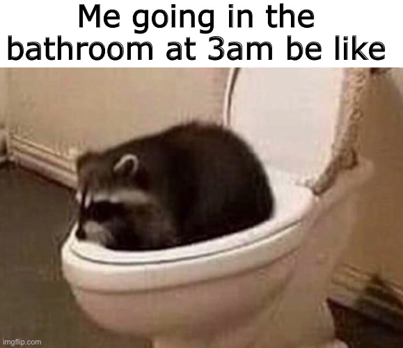 e | Me going in the bathroom at 3am be like | image tagged in blank white template,raccoon,memes,funny,animals,bathroom | made w/ Imgflip meme maker