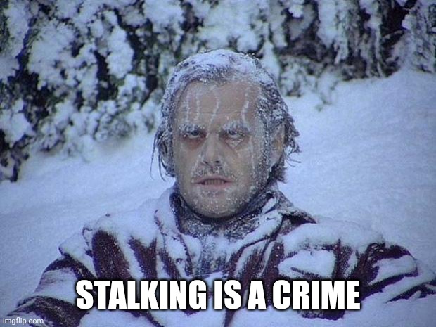 Jack Nicholson The Shining Snow Meme | STALKING IS A CRIME | image tagged in memes,jack nicholson the shining snow | made w/ Imgflip meme maker
