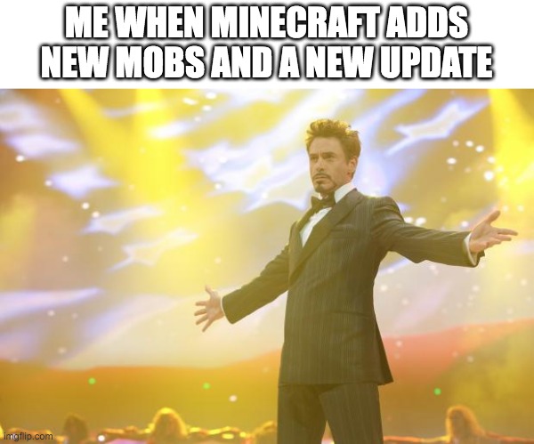 Tony Stark success | ME WHEN MINECRAFT ADDS NEW MOBS AND A NEW UPDATE | image tagged in tony stark success | made w/ Imgflip meme maker